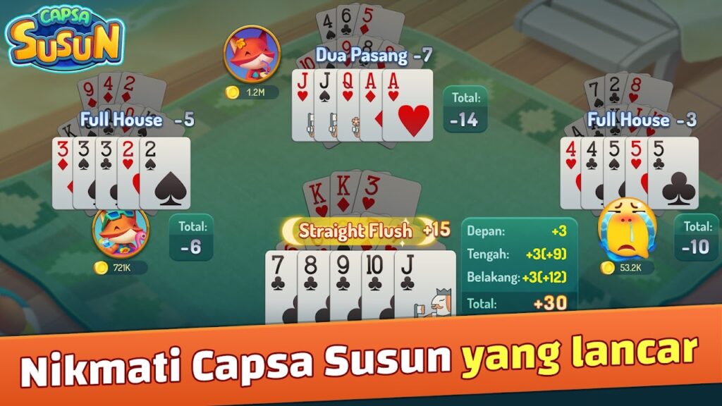 Capsa Susun